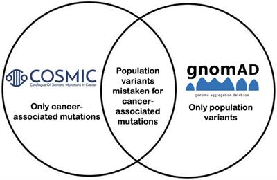 Identification of germline population variants misclassified as cancer-associated somatic variants